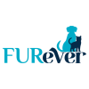 ⁦מסרק לולאה FUREVER⁩ – תמונה ⁦2⁩