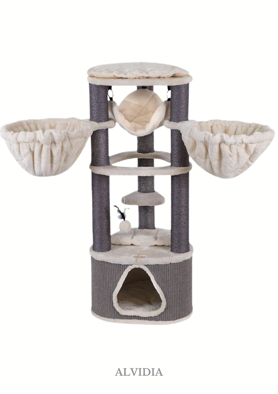 CATAGAT - Alvidia 7209