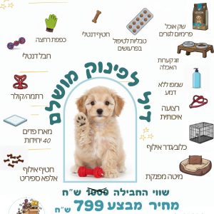 ערכת גורים פרימיום