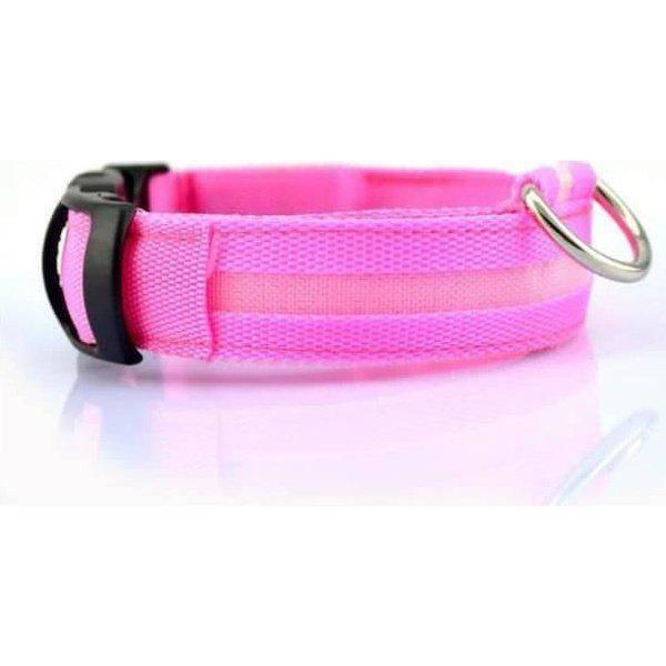 קולר לד לכלב ב50% הנחה! – תמונה 2