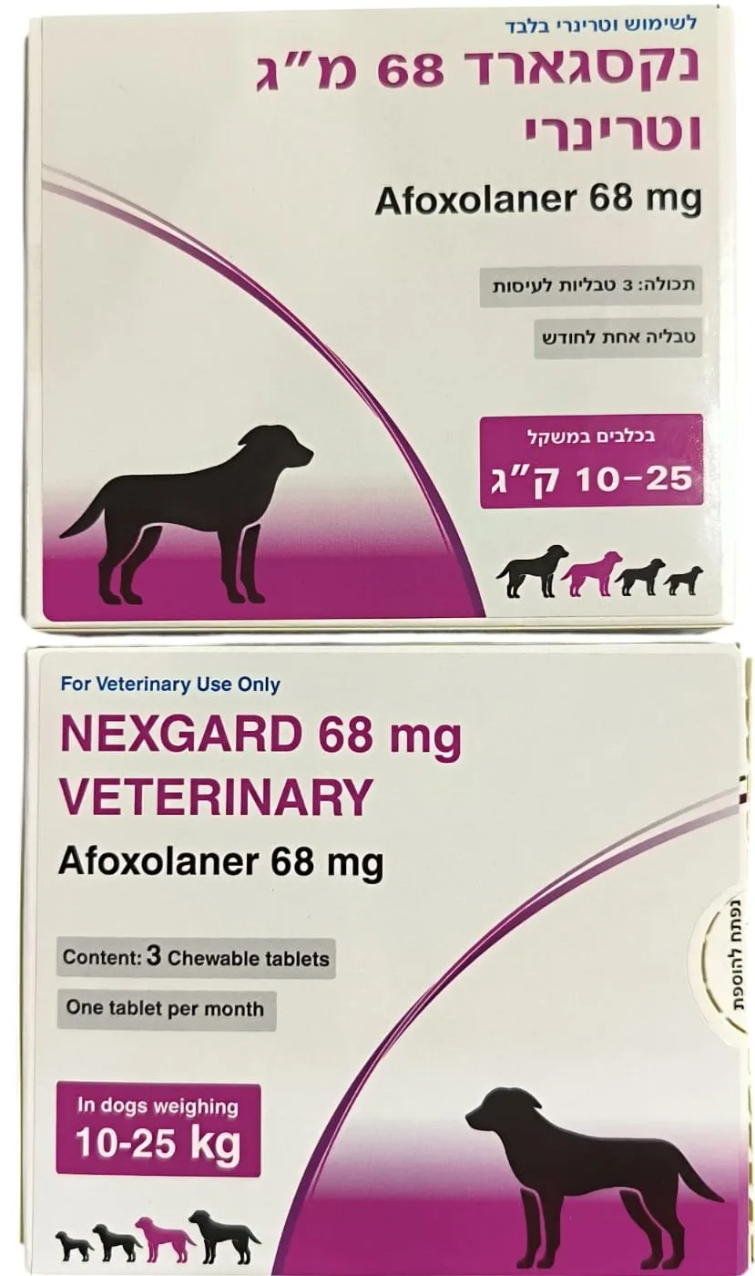 נקסטגארד לכלב 10-25 קילו