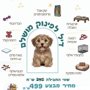 4b51cc93-aecc-4eba-a629-2e9782da9cc0