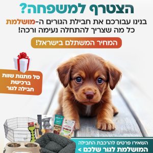 WhatsApp Image 2025-12-21 at 17.57.45